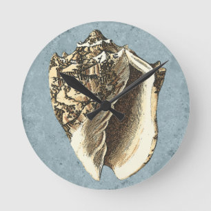 Stonewashed Conch Shell Round Clock