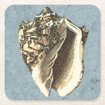 Stonewashed Conch Shell Square Paper Coaster<br><div class="desc">Get this unique stonewashed Conch seashell image on your next product. This amazing,  blue background with a tan Conch will look great on anything. Take the beach with you everywhere you go.</div>