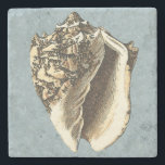 Stonewashed Conch Shell Stone Coaster<br><div class="desc">Get this unique stonewashed Conch seashell image on your next product. This amazing,  blue background with a tan Conch will look great on anything. Take the beach with you everywhere you go.</div>