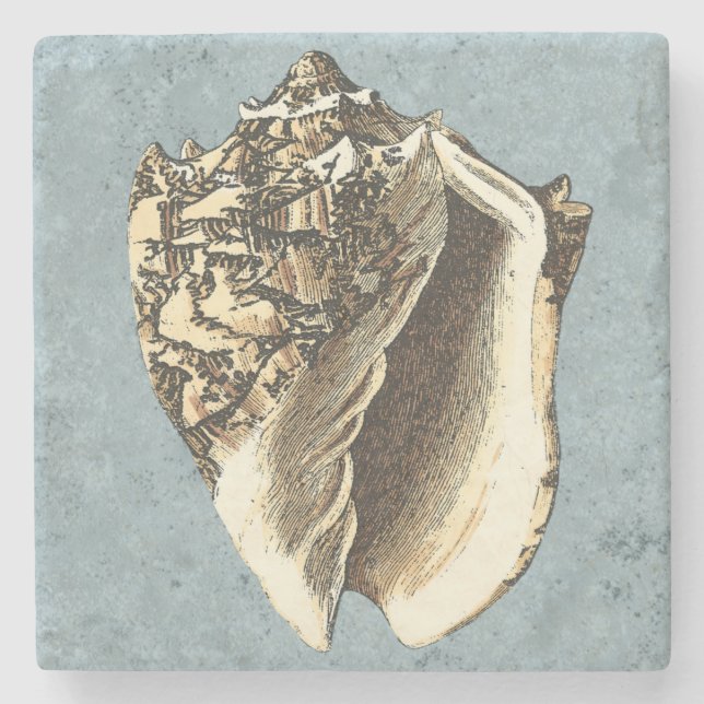 Stonewashed Conch Shell Stone Coaster (Front)