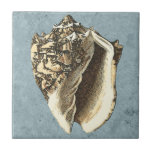 Stonewashed Conch Shell Tile<br><div class="desc">Get this unique stonewashed Conch seashell image on your next product. This amazing, blue background with a tan Conch will look great on anything. Take the beach with you everywhere you go.</div>