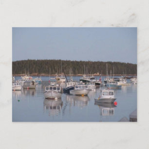 "Stonington Harbour" Postcard