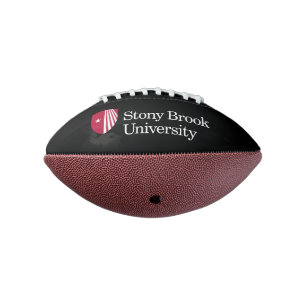 Stony Brook University Wordmark American Football