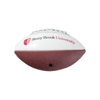 Stony Brook University | Wordmark American Football