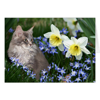 Stop and smell the flowers