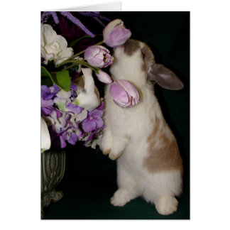 Stop and Smell the Flowers