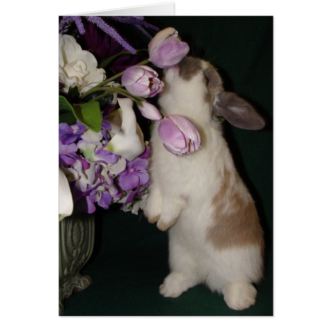 Stop and Smell the Flowers (Front)