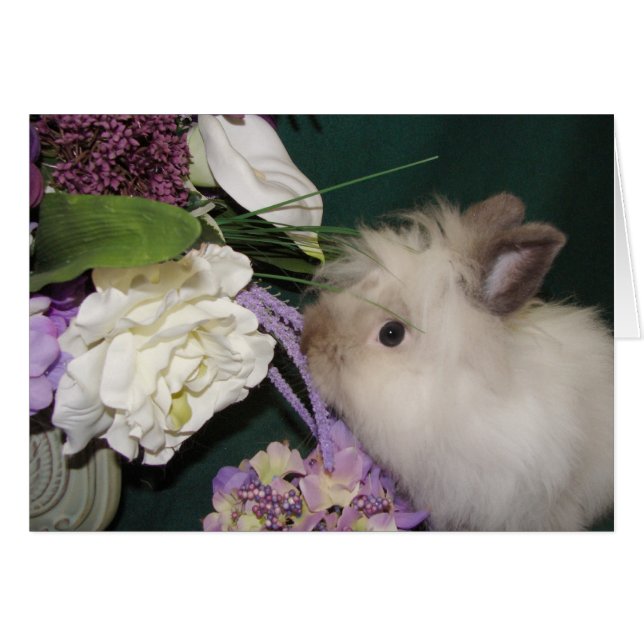 Stop and Smell the Flowers 3 (Front Horizontal)