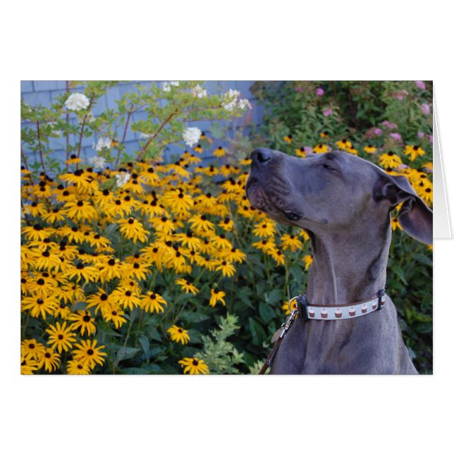 Stop and Smell the Flowers Card (Front Horizontal)