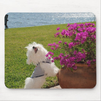 Stop and smell the flowers mouse pad