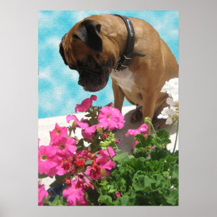 Stop and Smell the Flowers Poster