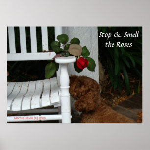 Stop and Smell the Rose Poster