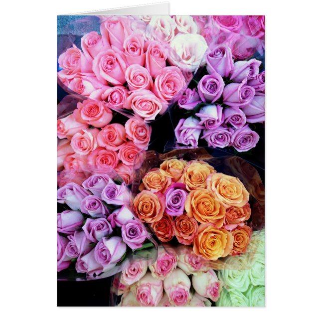 Stop and Smell the Roses (Front)