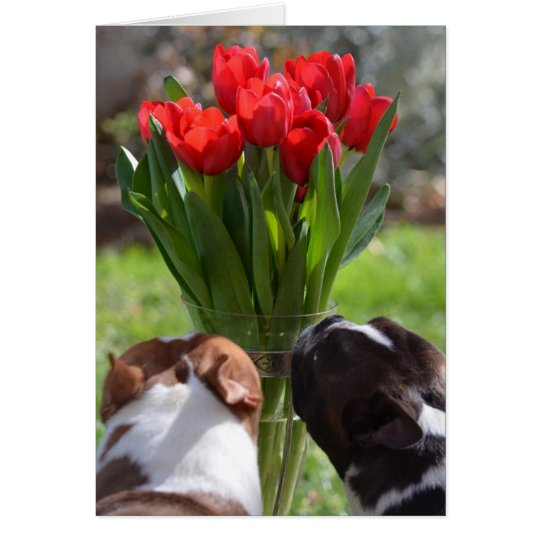 Stop and Smell the Tulips Card