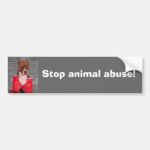 Stop animal abuse! bumper sticker