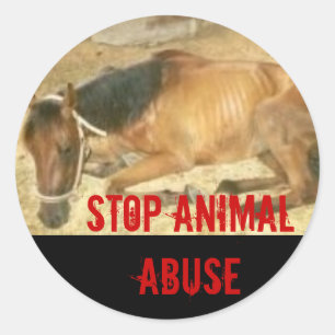Stop Animal Abuse Classic Round Sticker