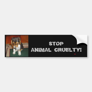 STOP ANIMAL CRUELTY! Bumper sticker