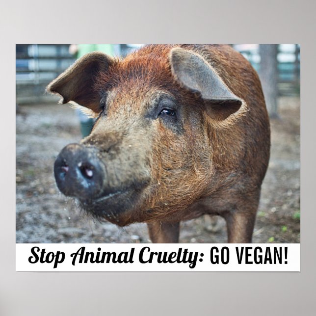 Stop Animal cruelty go vegan with brown pig Poster (Front)