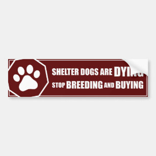 "Stop Breeding and Buying" Bumper Sticker