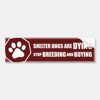 "Stop Breeding and Buying" Bumper Sticker
