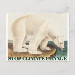 Stop Climate Change Endangered Arctic Polar Bear Postcard
