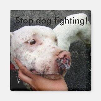 Stop dog fighting! magnet