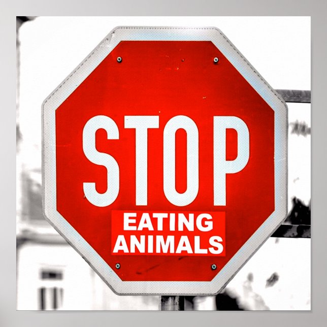 Stop Eating Animals Vegetarian Vegan Poster (Front)