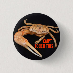 Stop- Fiddler Time 3 Cm Round Badge
