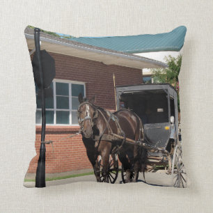 Stop For a Spell, Amish Buggy Horse Cushion