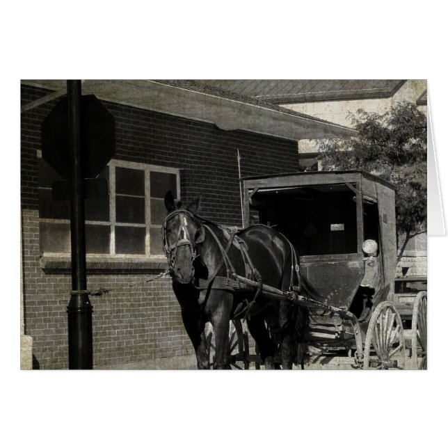 Stop for A Spell, Amish Horse at Stop Sign (Front Horizontal)
