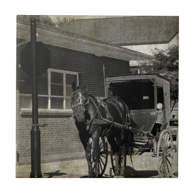 Stop for A Spell, Amish Horse at Stop Sign Tile (Front)