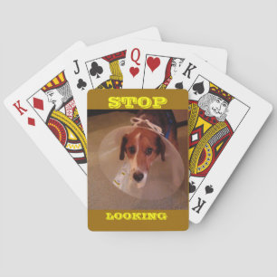 Stop Looking. Playing Cards