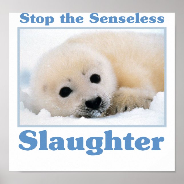 Stop slaughter-seals poster (Front)