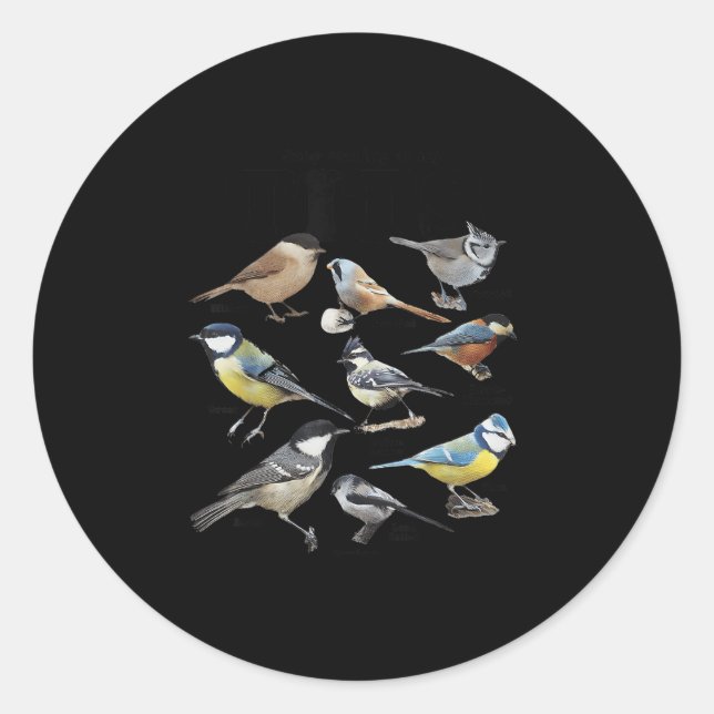 Stop Staring At My Funny Birds Lover Saying Quote  Classic Round Sticker (Front)