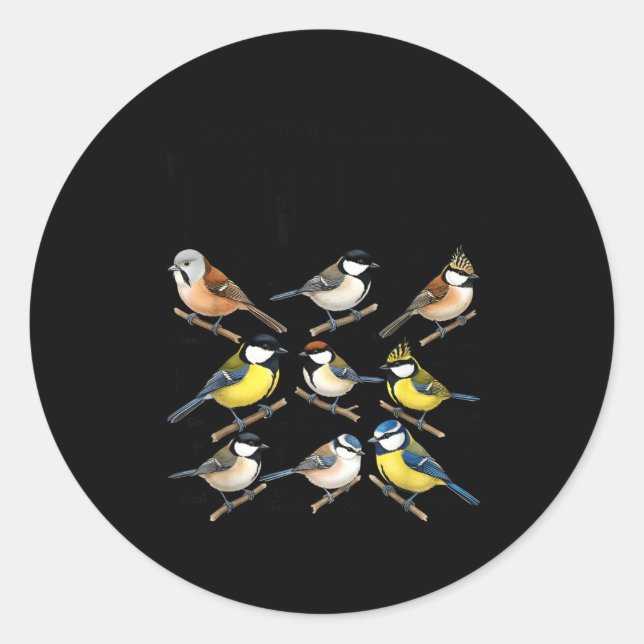 Stop Staring At My Funny Birdwatching Birds Lover  Classic Round Sticker (Front)
