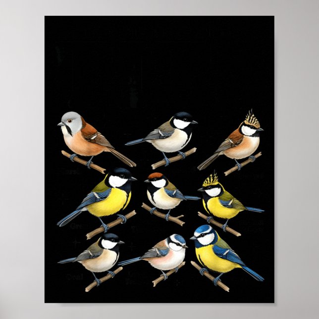 Stop Staring At My Funny Birdwatching Birds Lover  Poster (Front)