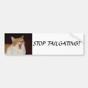 Stop Tailgating cat screaming Bumper Sticker