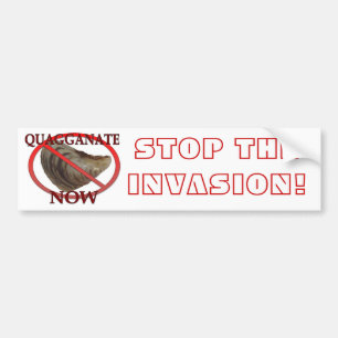Stop the Invasion Bumper Sticker