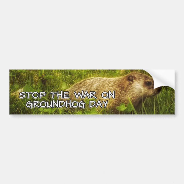 Stop the war on groundhog day bumper sticker (Front)