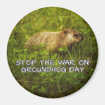 Stop the war on groundhog day magnet