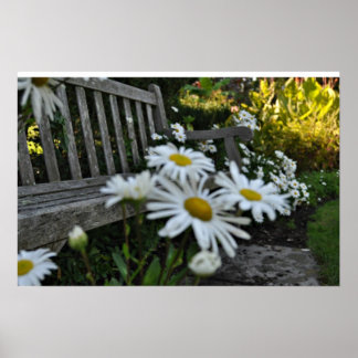 Stop To Smell The Daises Poster