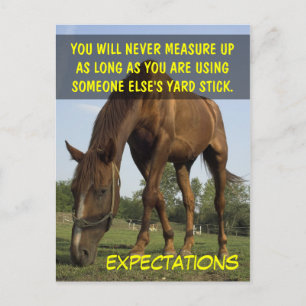 Stop trying to meet other people's expectations postcard