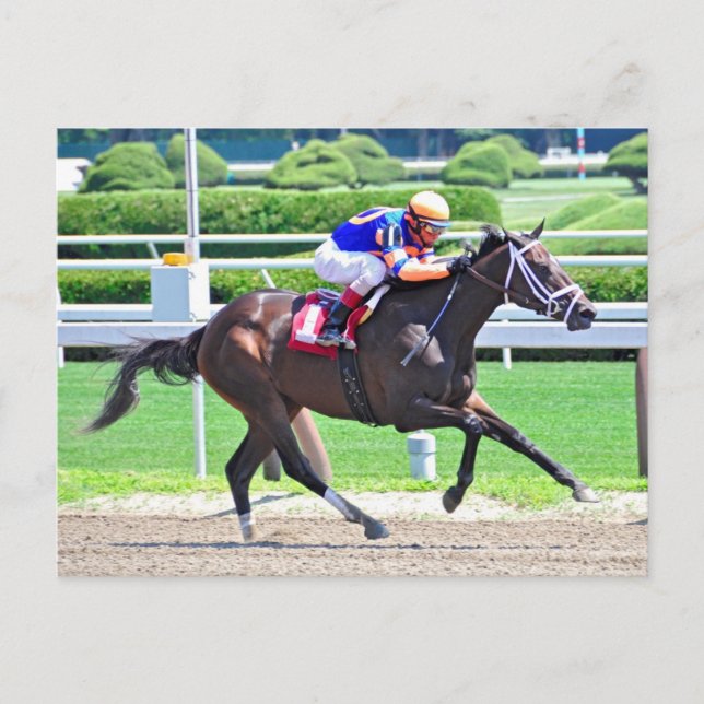 Stopchargingmaria victorious in her first race. postcard (Front)