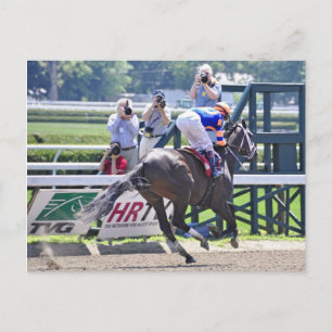 Stopchargingmaria victorious in her first race. postcard
