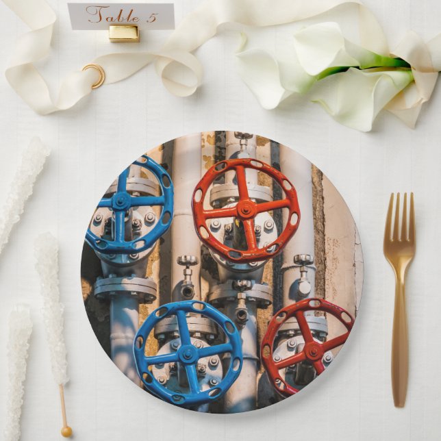 Stopcock in the Schiffbau, Zurich Paper Plate (Wedding)