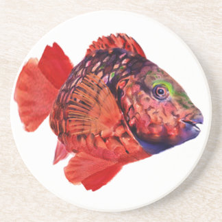 Stoplight Parrotfish Coaster