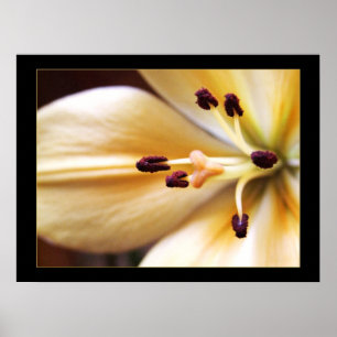 Stopped Clock Flower Poster