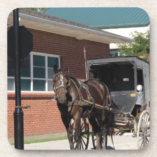Stopped for a Spell, An Amiish Horse at stop sign Coaster