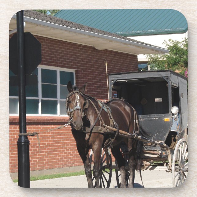 Stopped for a Spell, An Amiish Horse at stop sign Coaster (Front)