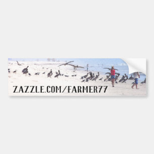 Store Address Beach Pelican Birds Bumper Sticker